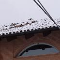 Dachstockbrand vom 3. Januar 2010, 15.10h