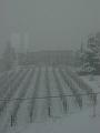 072x_WinterNachbar