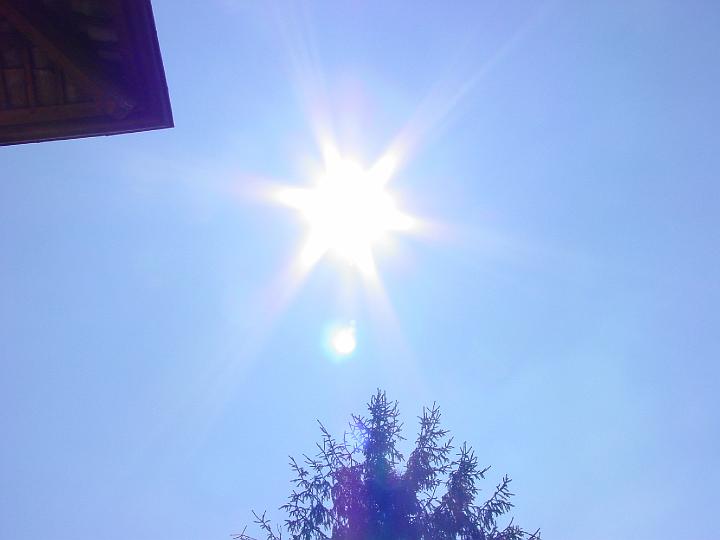 DSC02542.JPG