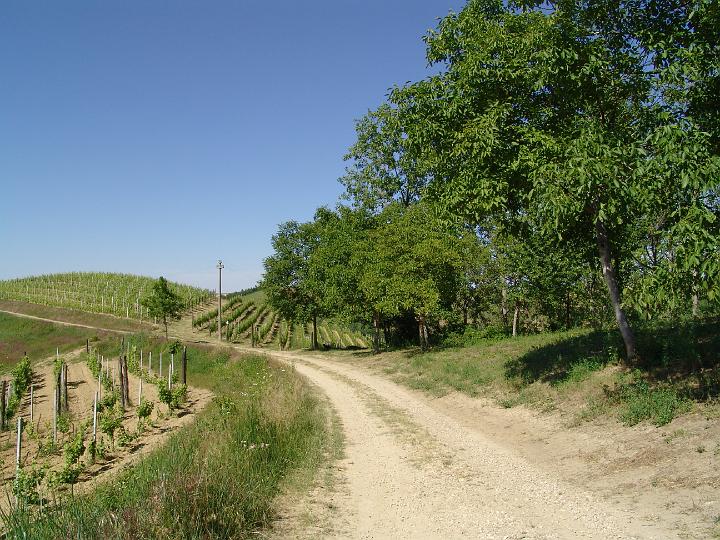 dscx2184.JPG