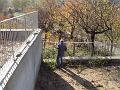DSCF0256