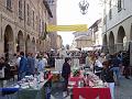 dscx0728